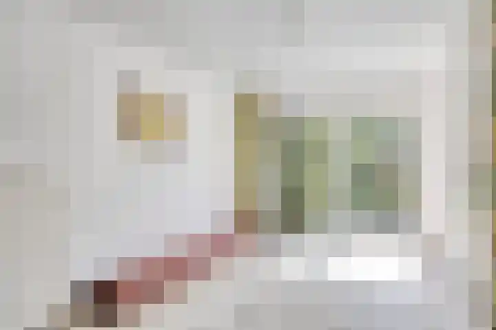 Valkenierslaan 268 Breda thumbnail 21