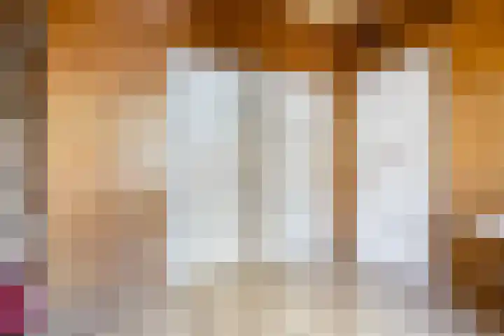 Valkenierslaan 268 Breda thumbnail 30