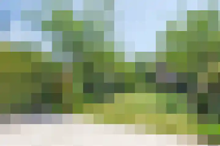 Valkenierslaan 268 Breda thumbnail 35