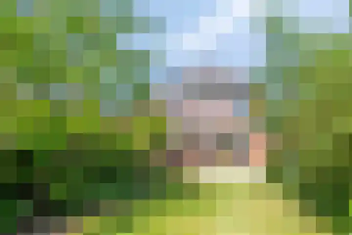 Valkenierslaan 268 Breda thumbnail 36