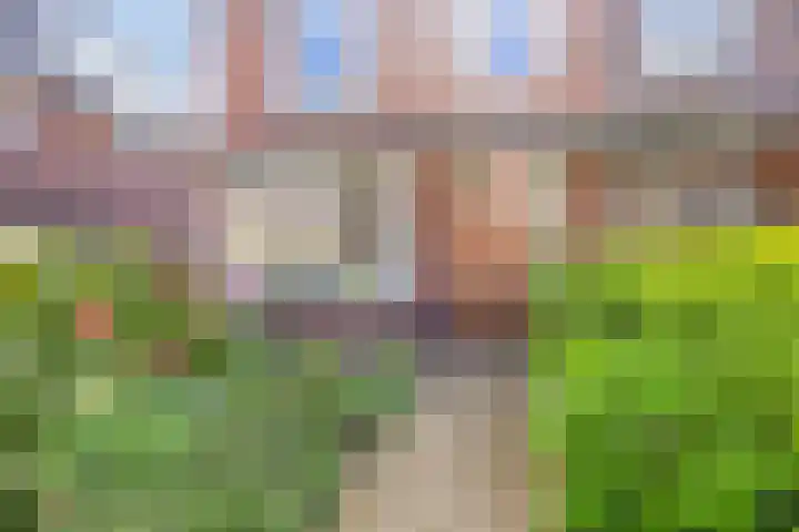 Valkenierslaan 268 Breda thumbnail 4
