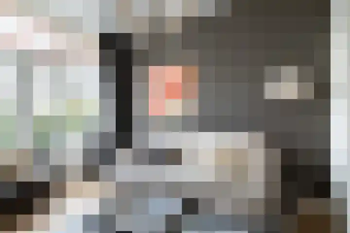 Valkenierslaan 279 Breda thumbnail 16