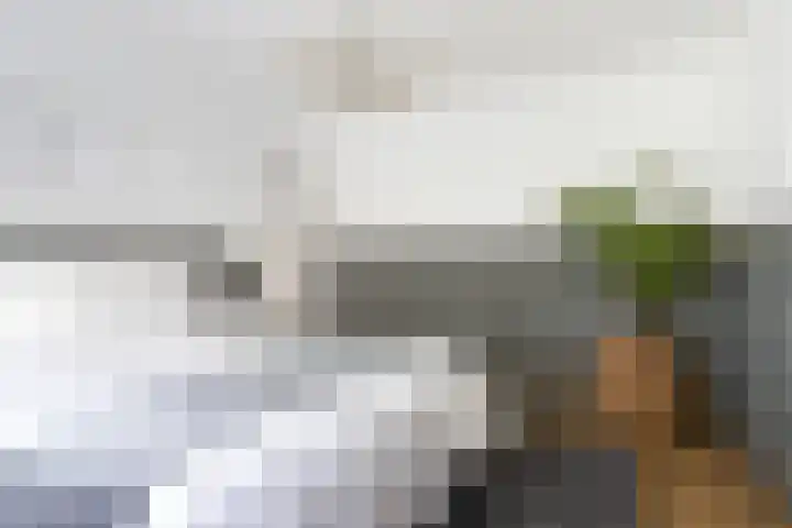 Valkenierslaan 279 Breda thumbnail 36