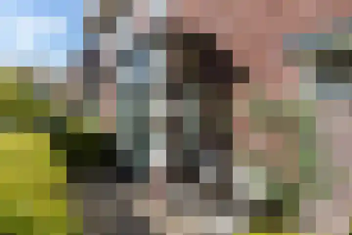 Valkenierslaan 279 Breda thumbnail 4