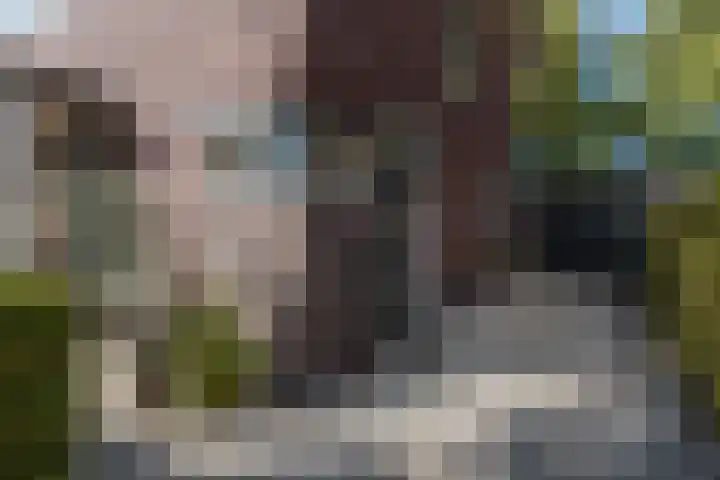 Valkenierslaan 279 Breda thumbnail 5