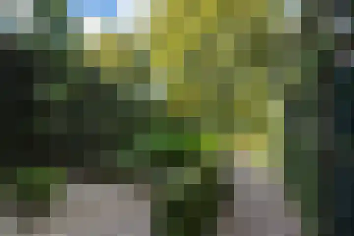 Valkenierslaan 279 Breda thumbnail 51