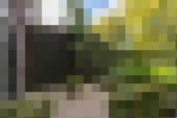 Valkenierslaan 279 Breda thumbnail 52