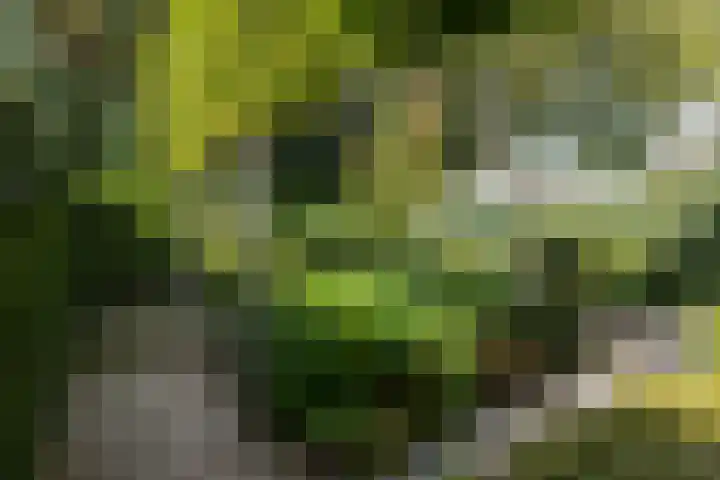 Valkenierslaan 279 Breda thumbnail 54