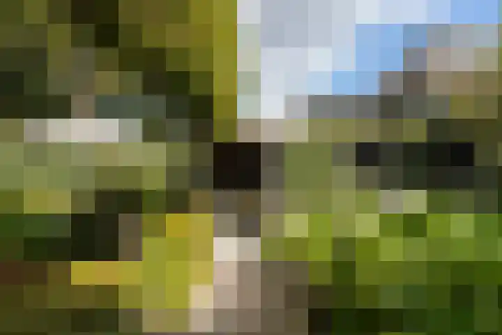 Valkenierslaan 279 Breda thumbnail 55