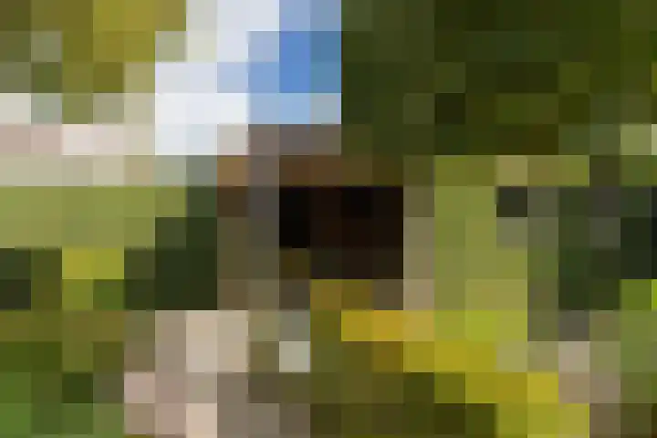 Valkenierslaan 279 Breda thumbnail 56