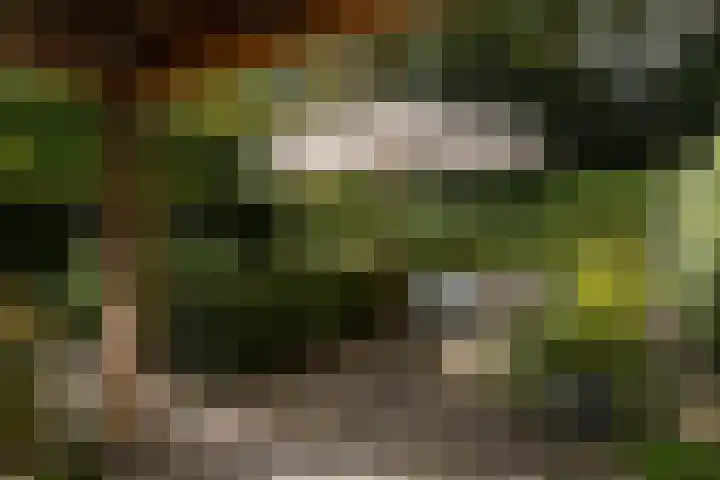 Valkenierslaan 279 Breda thumbnail 58