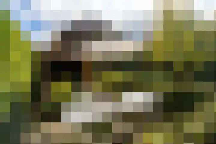Valkenierslaan 279 Breda thumbnail 59