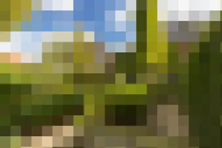 Valkenierslaan 279 Breda thumbnail 60