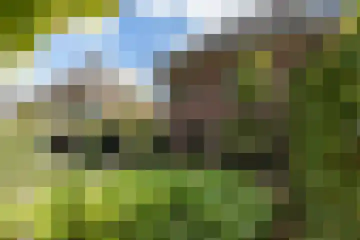 Valkenierslaan 279 Breda thumbnail 61