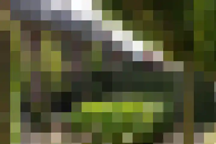 Valkenierslaan 279 Breda thumbnail 62