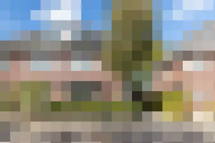 Valkenierslaan 279 Breda thumbnail 64