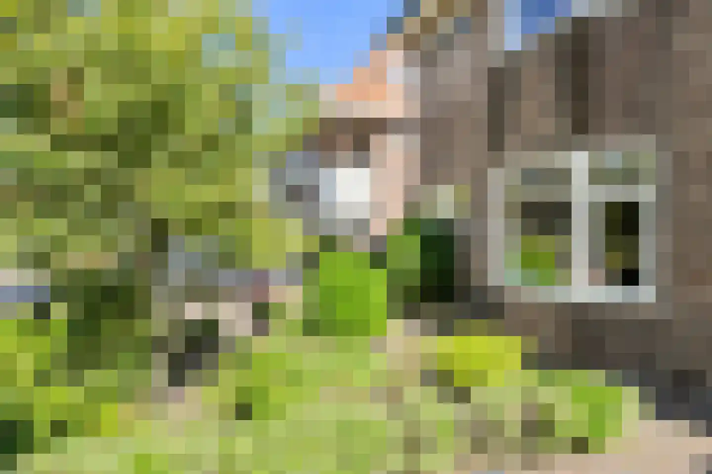 Valkenierslaan 284 Breda thumbnail 43