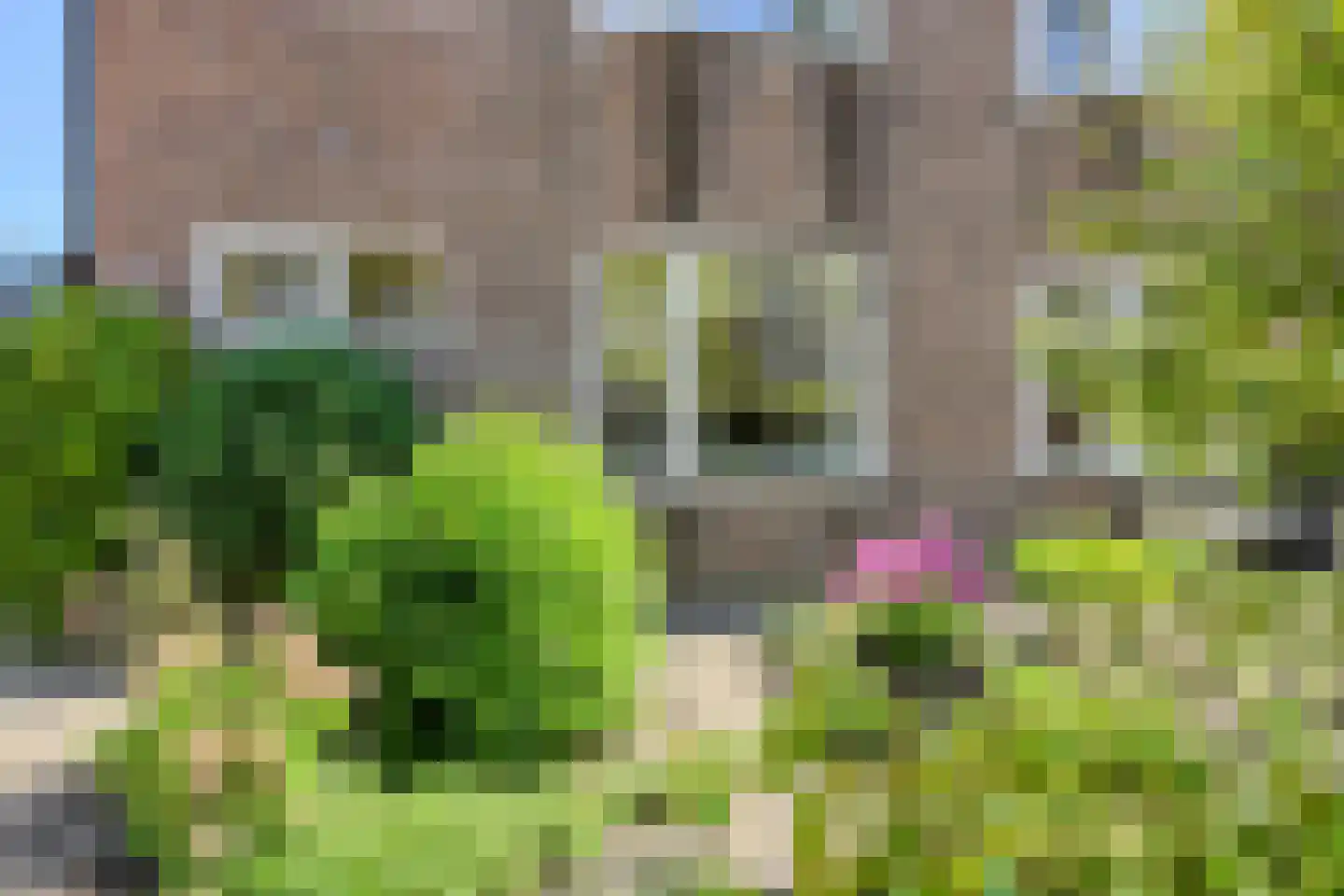 Valkenierslaan 284 Breda thumbnail 44