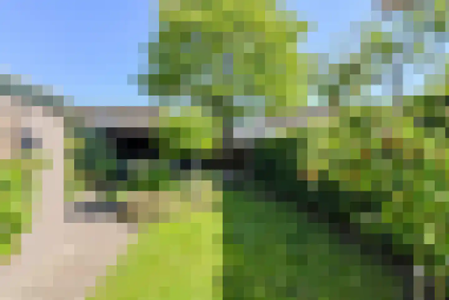 Valkenierslaan 284 Breda thumbnail 46