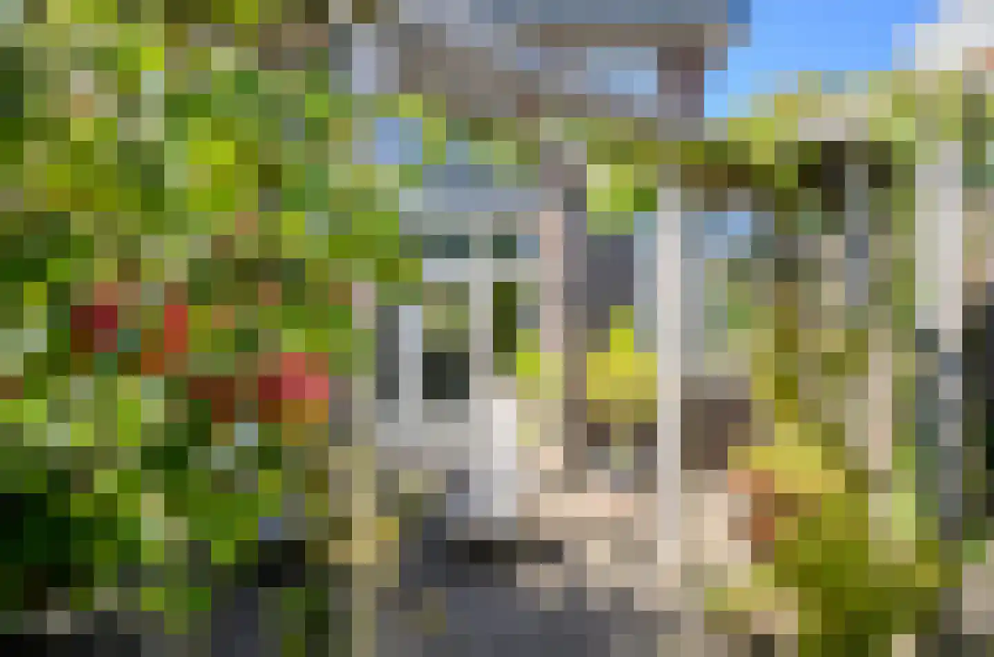 Valkenierslaan 284 Breda thumbnail 55