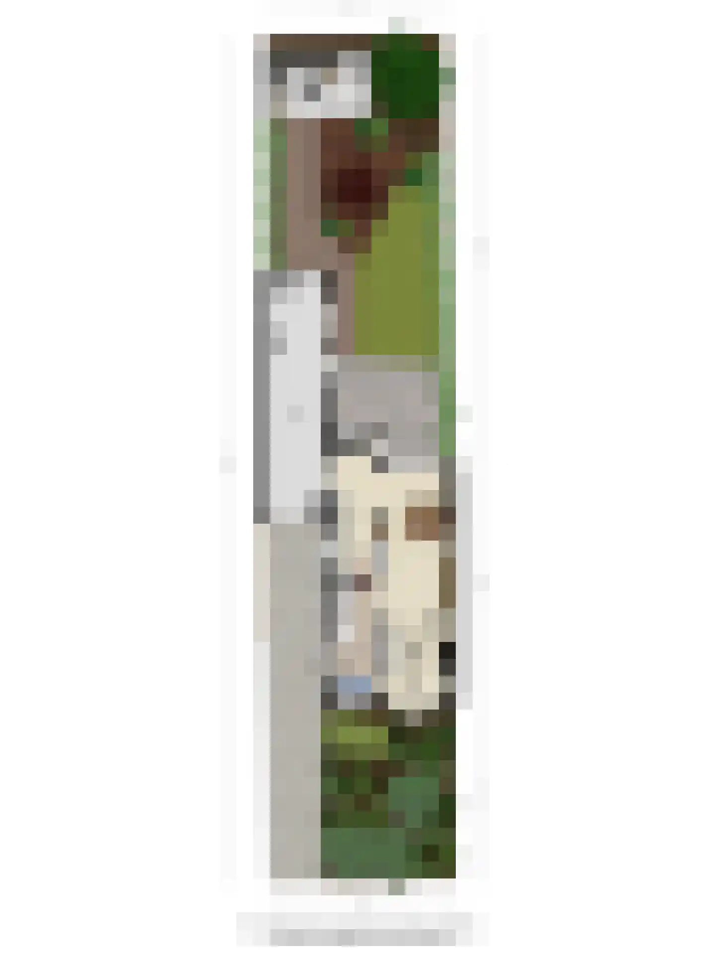 Valkenierslaan 284 Breda thumbnail 66