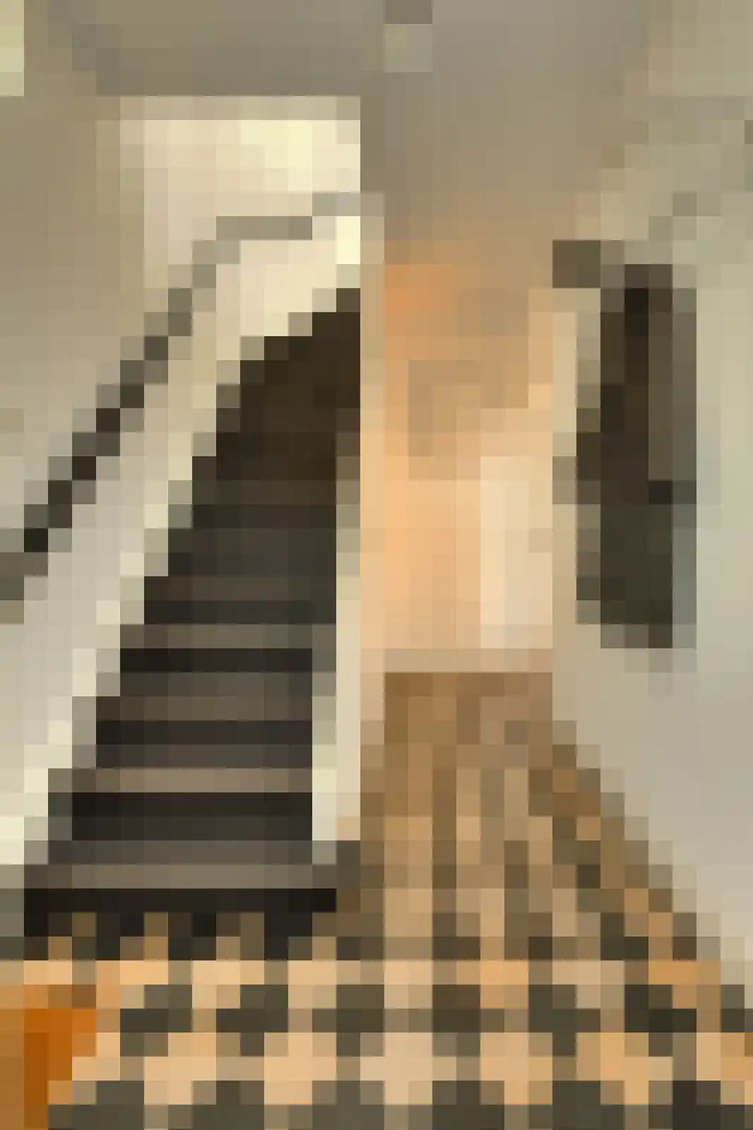 Valkenierslaan 284 Breda thumbnail 9