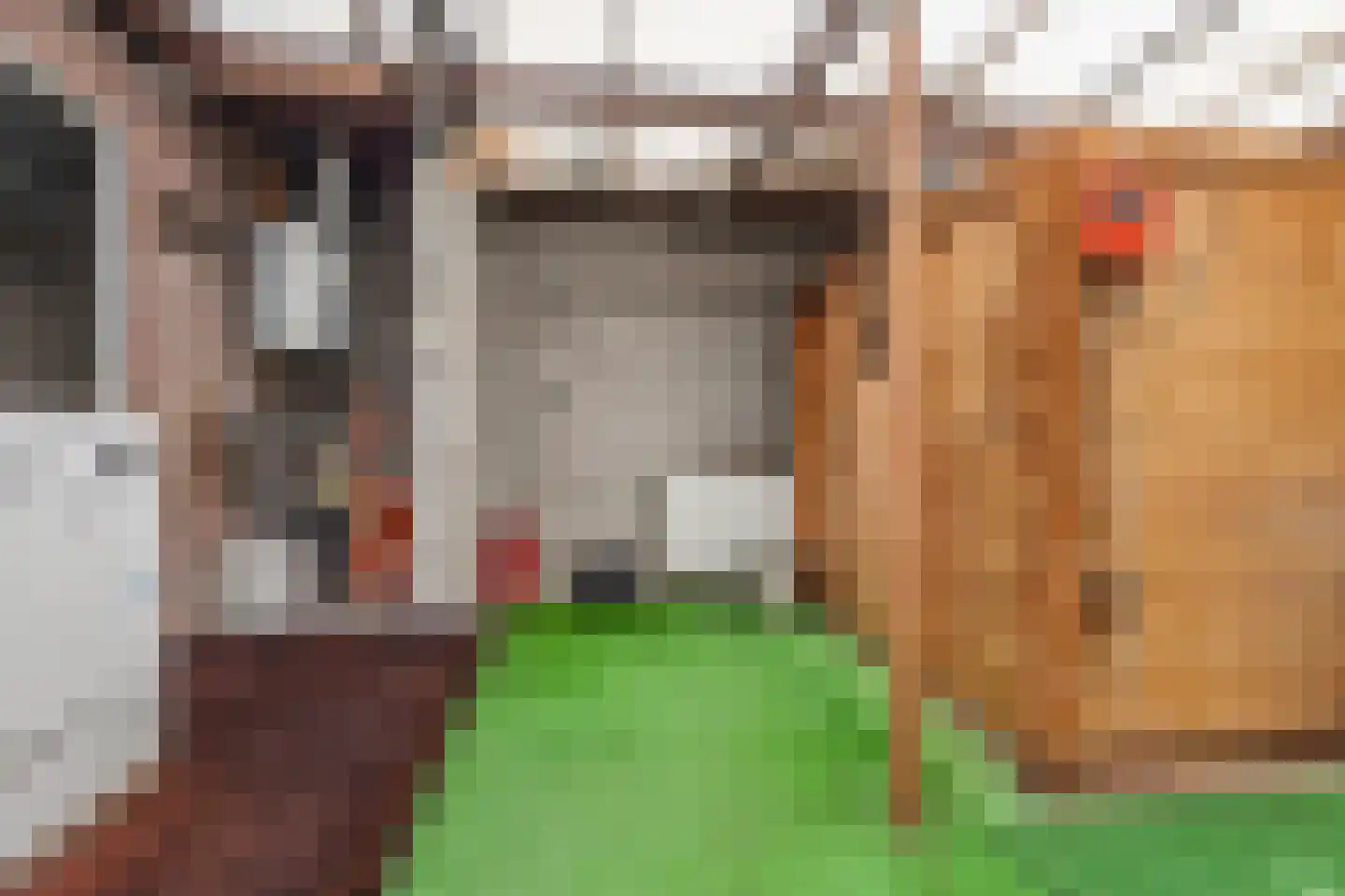 Valkenierslaan 335 Breda thumbnail 14