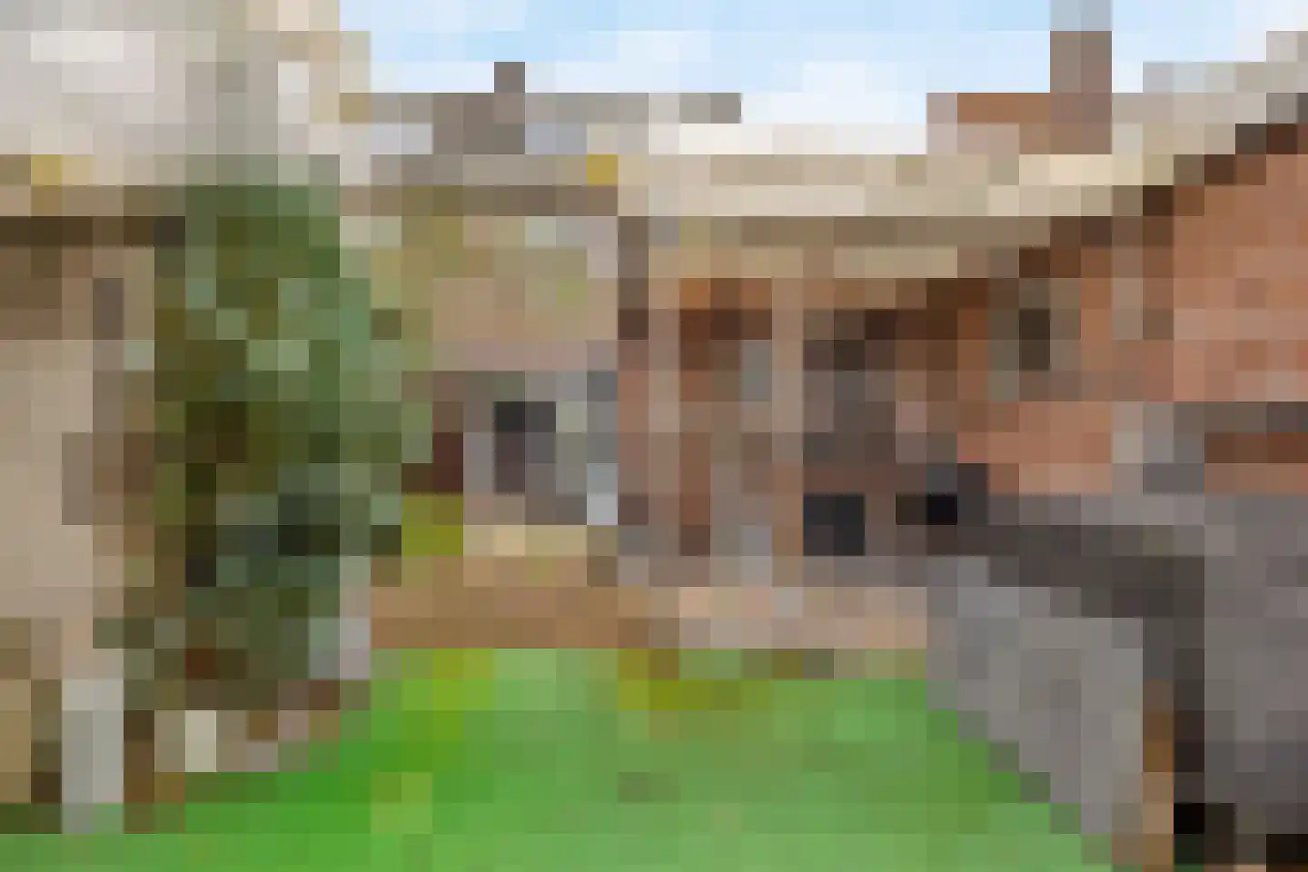 Valkenierslaan 335 Breda thumbnail 16