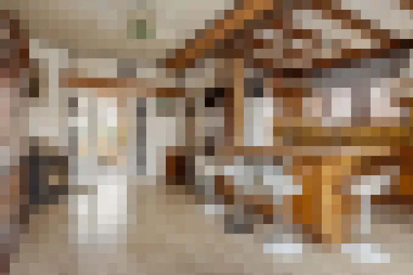 Valkenierslaan 335 Breda thumbnail 4