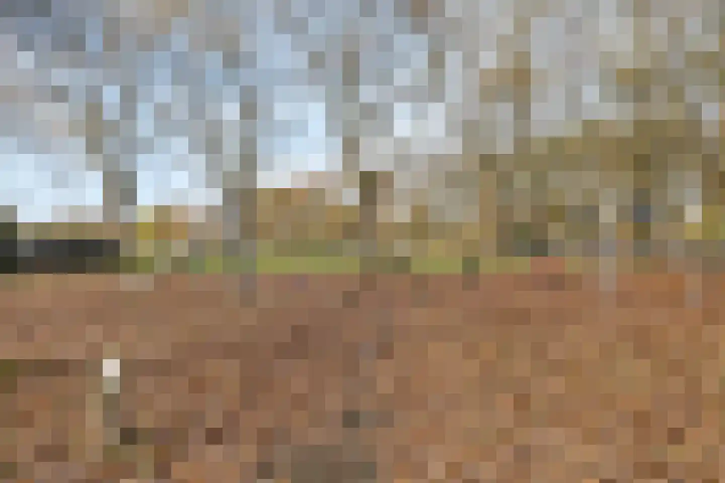 Valkenierslaan 335 Breda thumbnail 41