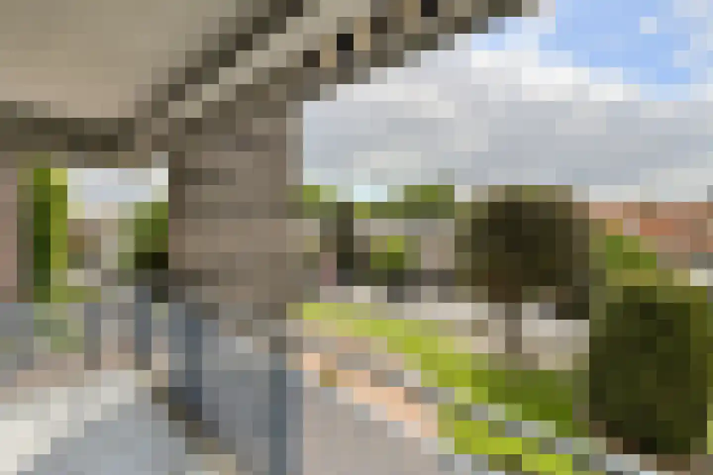 Valkenierslaan 35 C11 Breda thumbnail 19