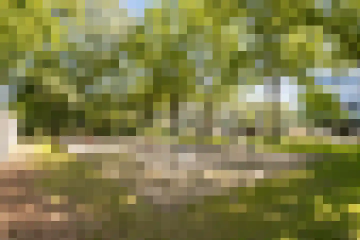 Valkenierslaan 422 Breda thumbnail 30