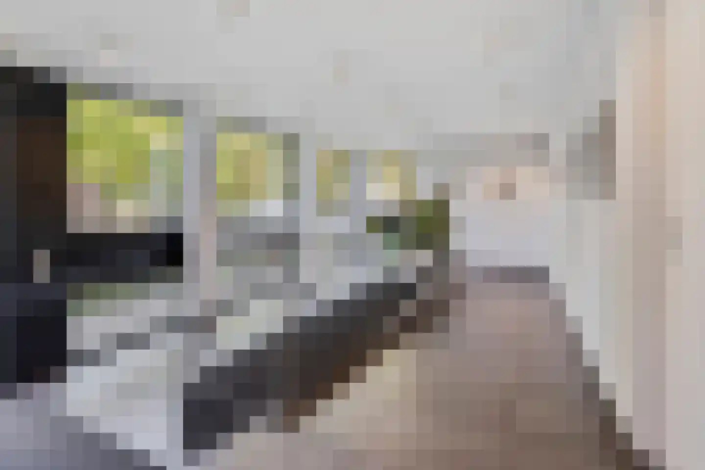 Valkenierslaan 422 Breda thumbnail 35