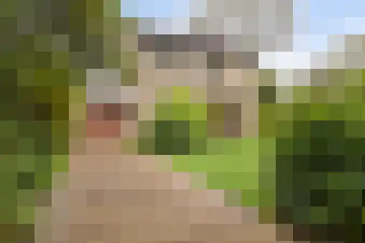 Valkenierslaan 6 Roden