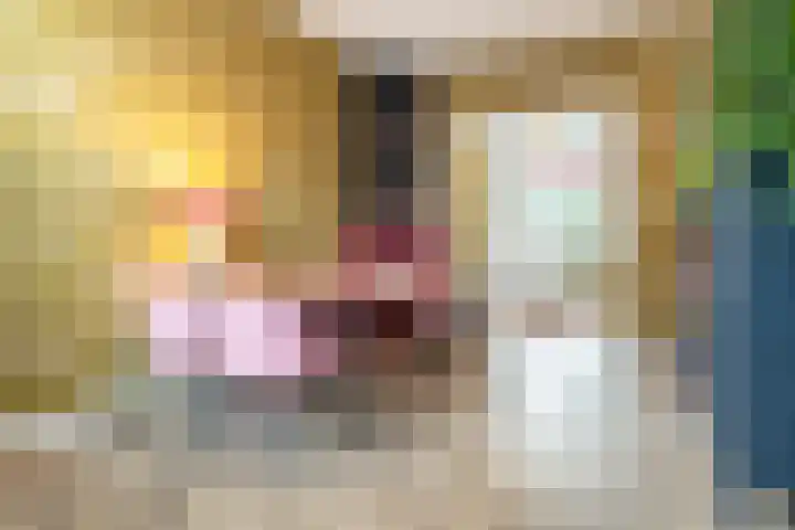 Valkenierslaan 71 Breda thumbnail 10