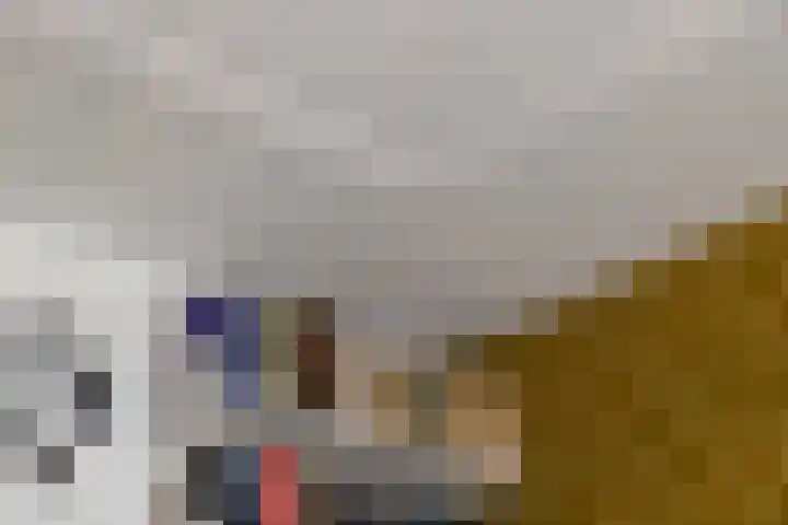 Valkenierslaan 71 Breda thumbnail 13