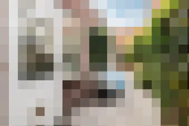 Valkenierslaan 71 Breda thumbnail 21