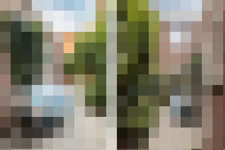 Valkenierslaan 71 Breda thumbnail 22