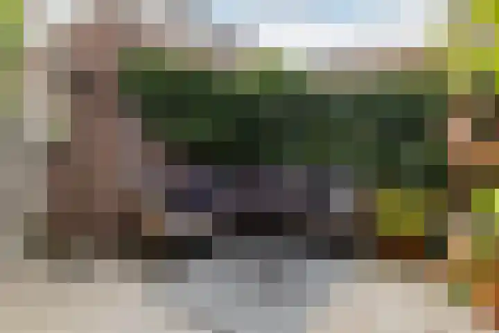 Valkenierslaan 71 Breda thumbnail 25