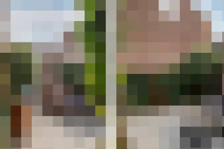 Valkenierslaan 71 Breda thumbnail 26