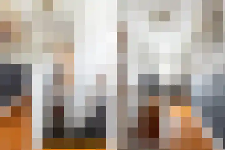 Valkenierslaan 71 Breda thumbnail 27