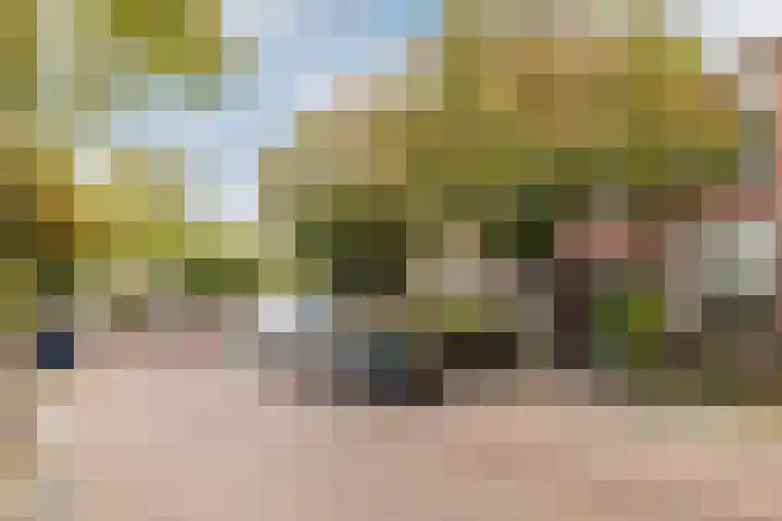 Valkenierslaan 71 Breda thumbnail 35