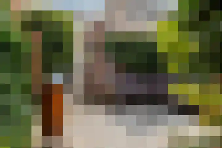 Valkenierslaan 71 Breda thumbnail 4