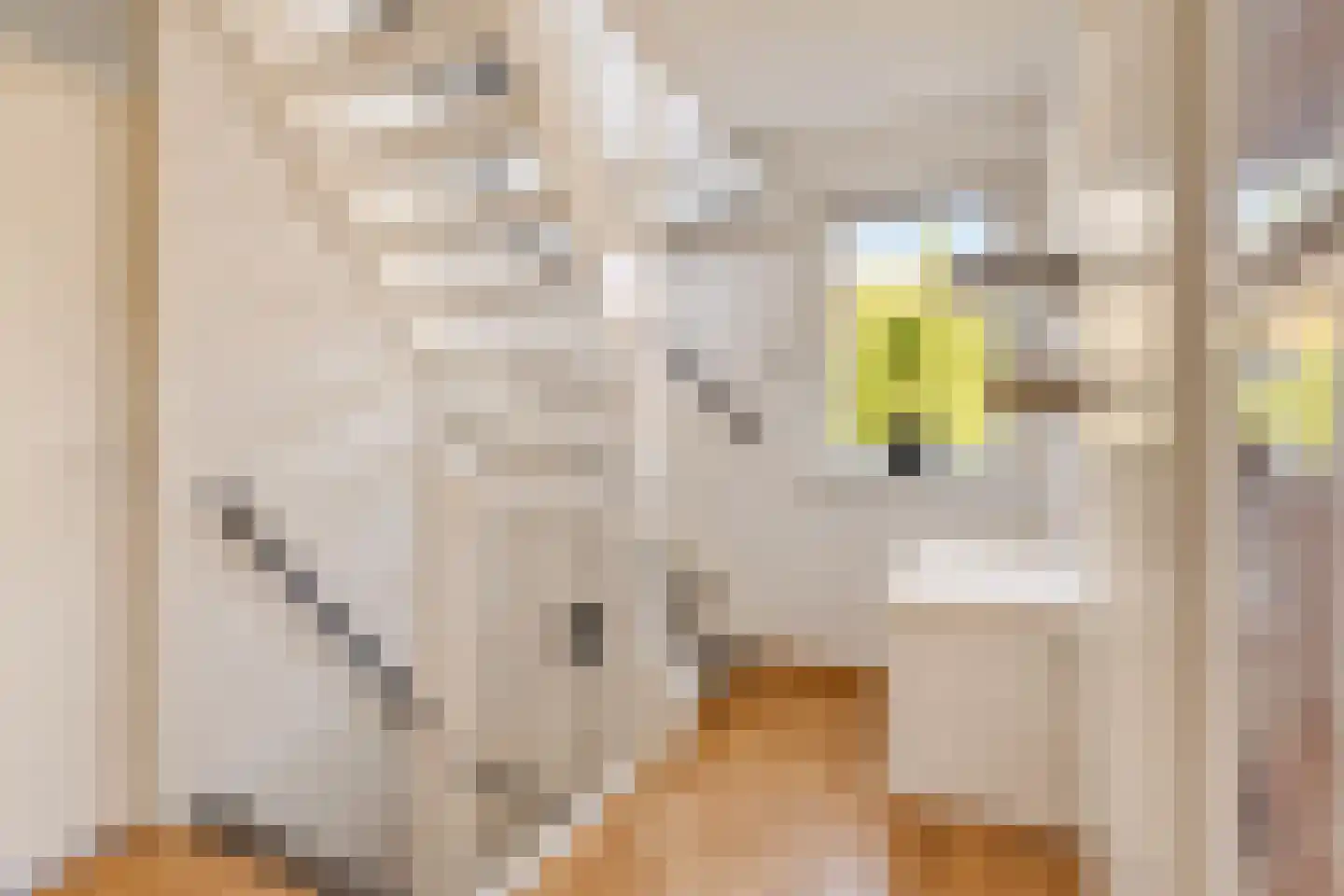 Valkenierspad 13 Sprundel thumbnail 34