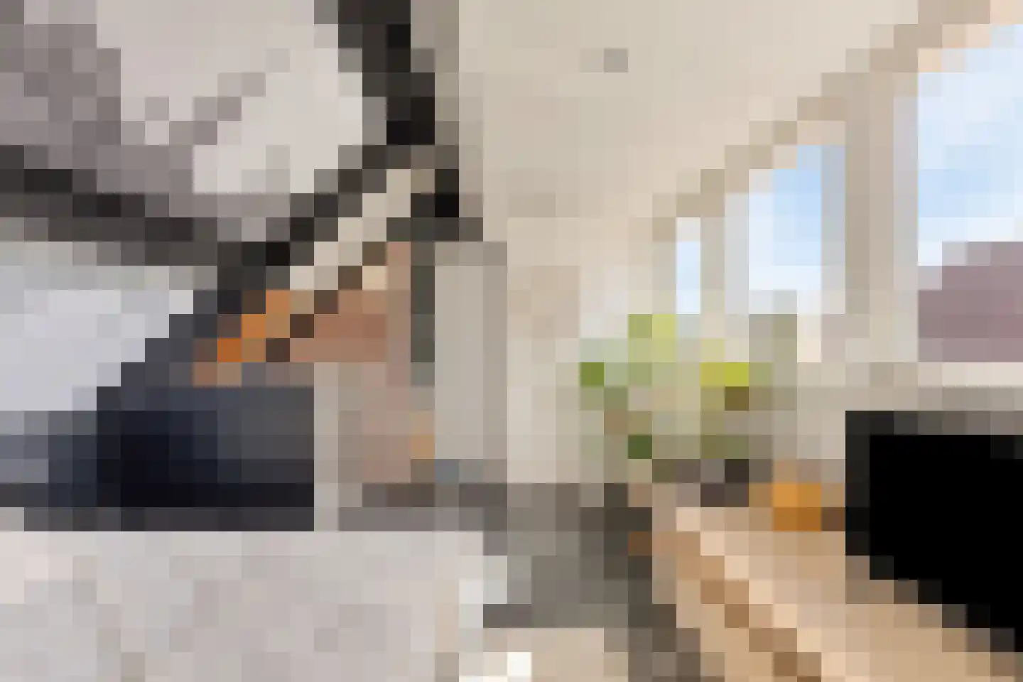 Valkenierspad 13 Sprundel thumbnail 35