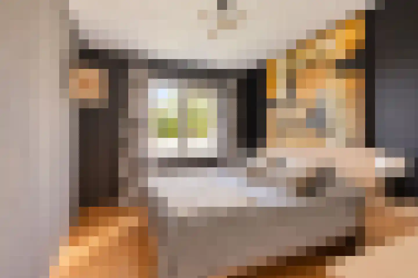Valkenierspad 13 Sprundel thumbnail 36