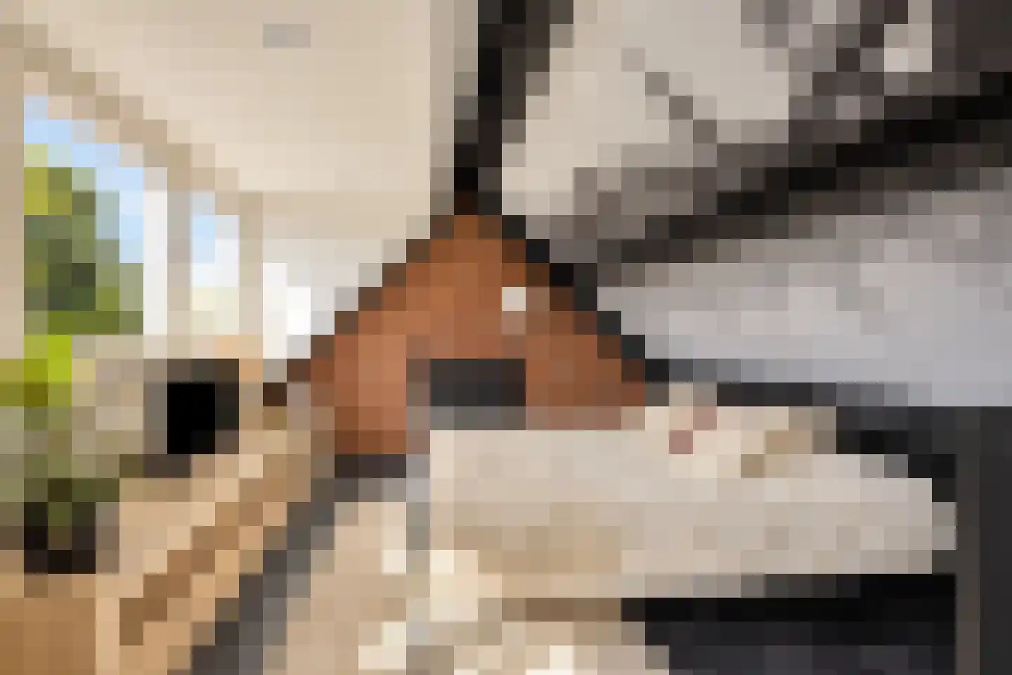 Valkenierspad 13 Sprundel thumbnail 37