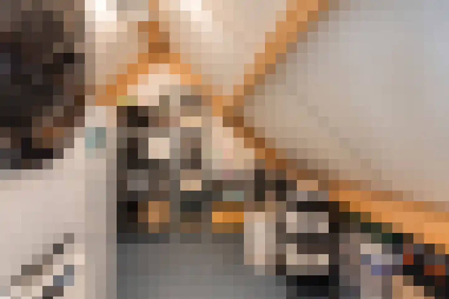 Valkenierspad 13 Sprundel thumbnail 38