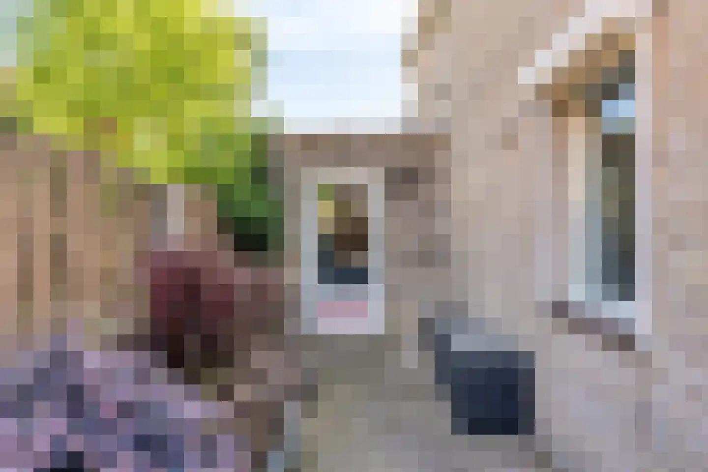 Valkenierspad 13 Sprundel thumbnail 40