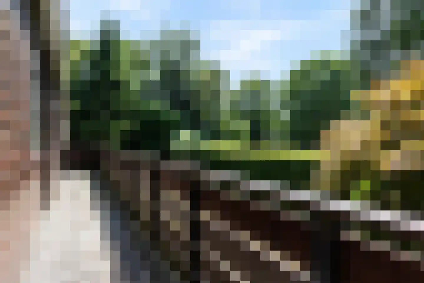 Valkenierspad 6 Rozendaal thumbnail 26